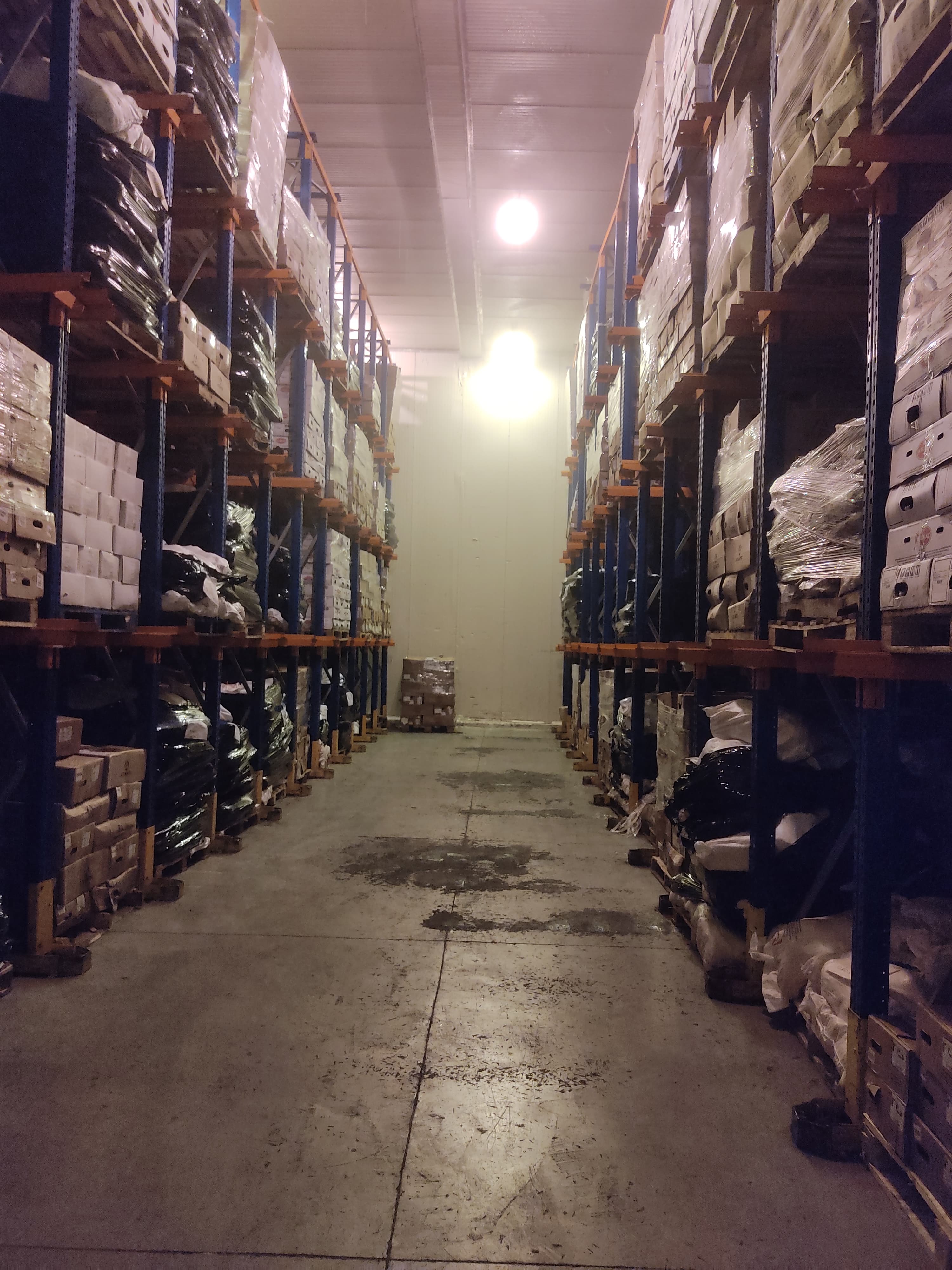 Pasillo Bodega Refrigerada